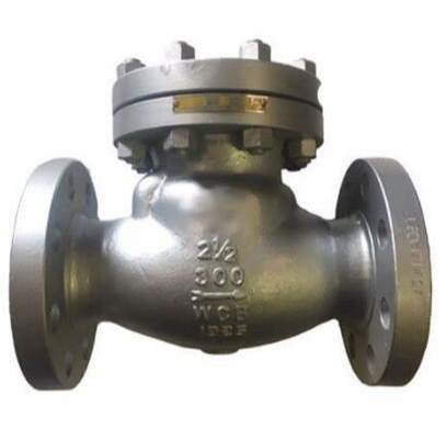 DIN 3840 / BS EN 1868 PN16 DN400 CF8M صمام فحص شفة مترابطة من الفولاذ المقاوم للصدأ