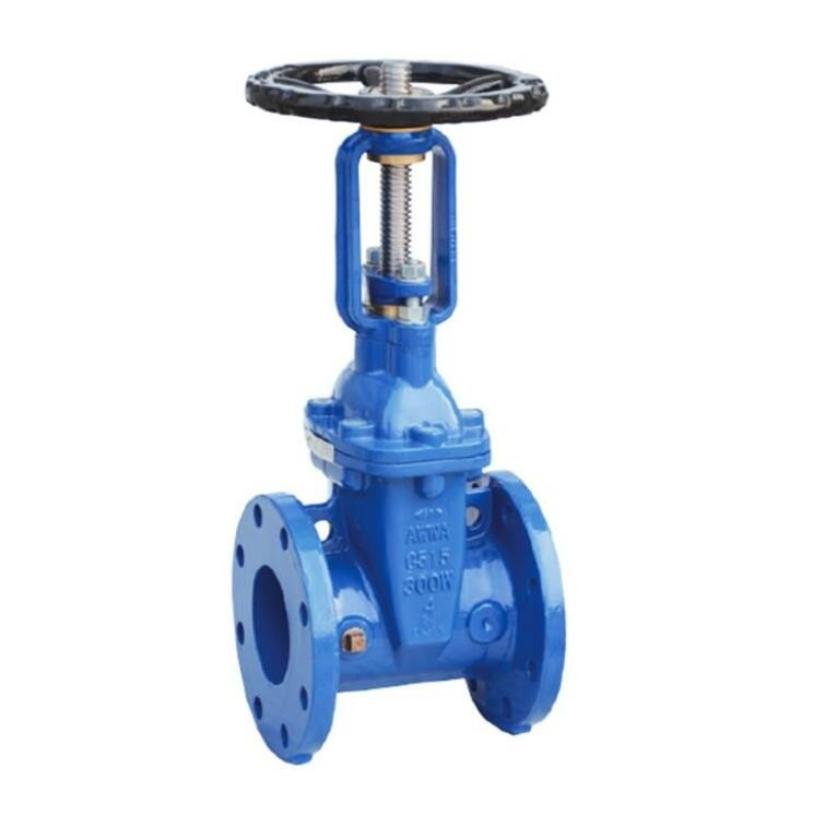 صمام البوابة ذو المقعد المعدني ASME B16.10 DN50 ASME B16.1 CL125 CLASS 300 بوابة صمامات